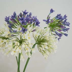 Agapanthus Flower Lily of The Nile Artificial Silk Flower Stem AGAPANTHUS001002,dried artificial flower