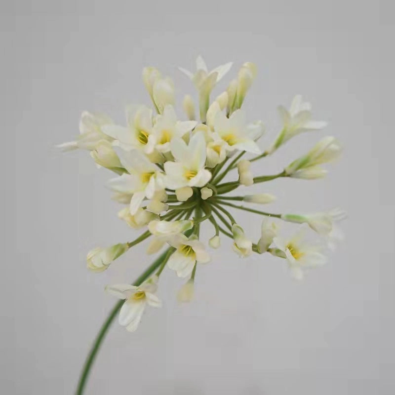 Agapanthus Flower Lily of The Nile Artificial Silk Flower Stem AGAPANTHUS001002