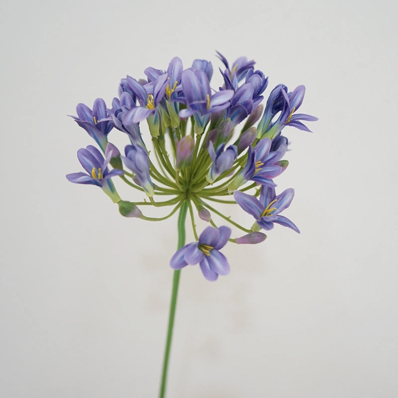 Agapanthus Flower Lily of The Nile Artificial Silk Flower Stem AGAPANTHUS001002