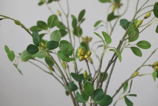 Aglaia Odorata Artificial Flowers Leaves Stem AGLAIA001