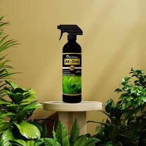 All In One Plant Growth Promoter,potted plant decor