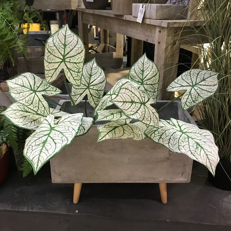 Alocasia Artificial Silk Flower Stem ALOCASIA001
