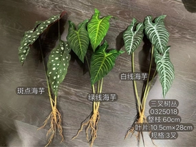 Alocasia leaf for Wedding home decor realistic flower bouquet  
