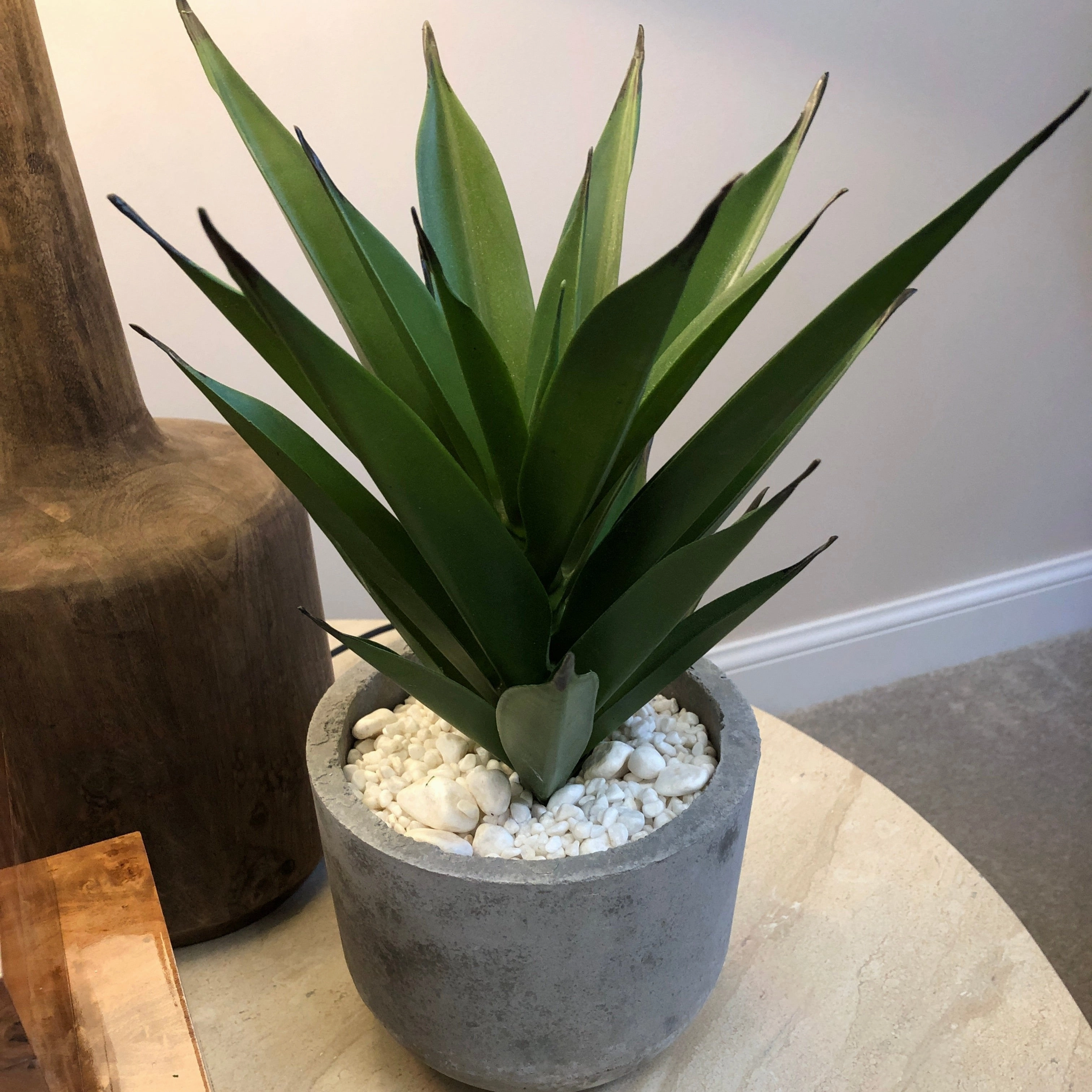 Aloe Vera in Grey Cement Pot 38cm,dried artificial flower