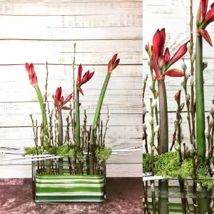 Amaryllis Marsh,realistic flower bouquet 