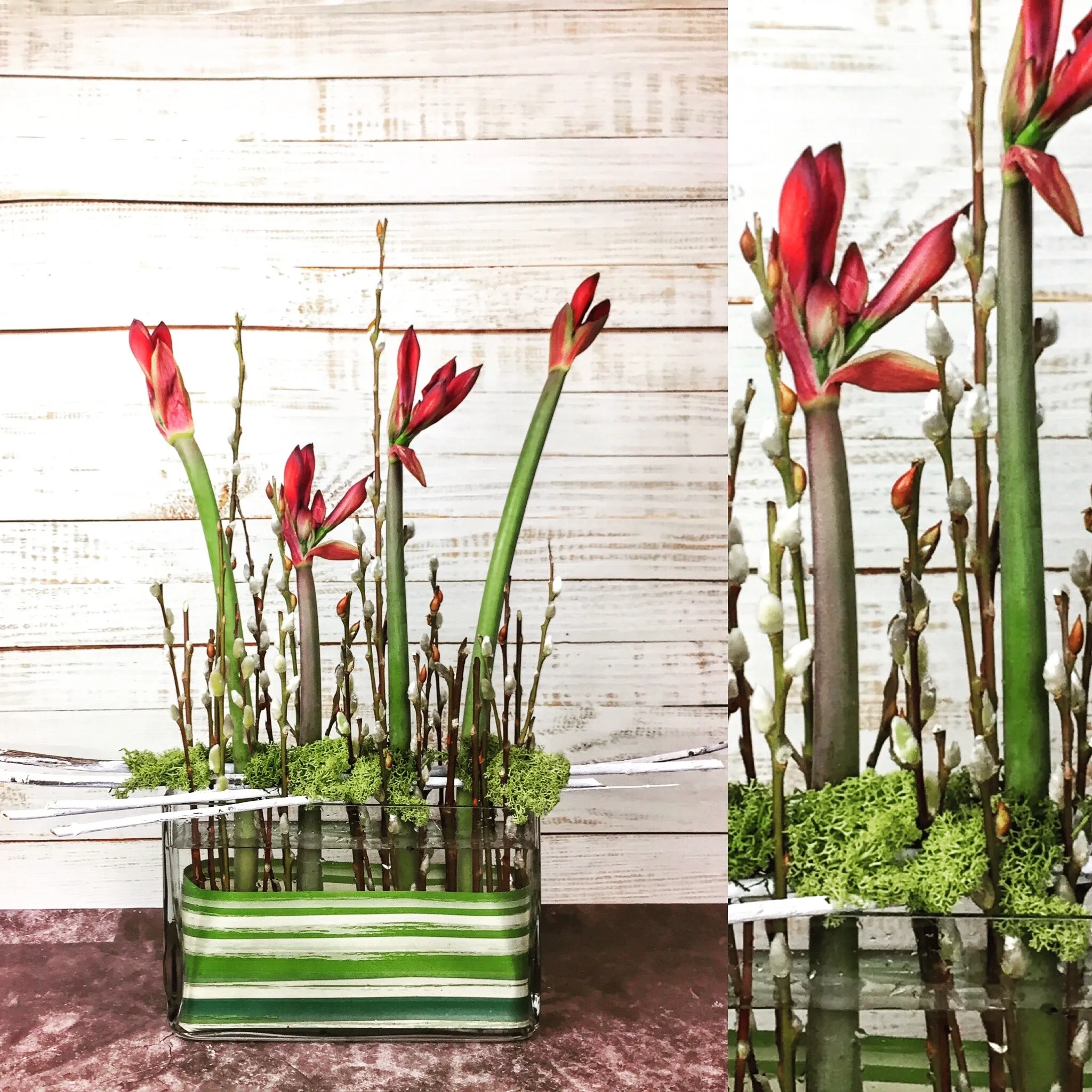 Amaryllis Marsh,realistic flower bouquet 