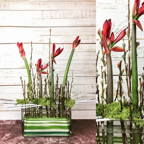 Amaryllis Marsh,dried artificial flower