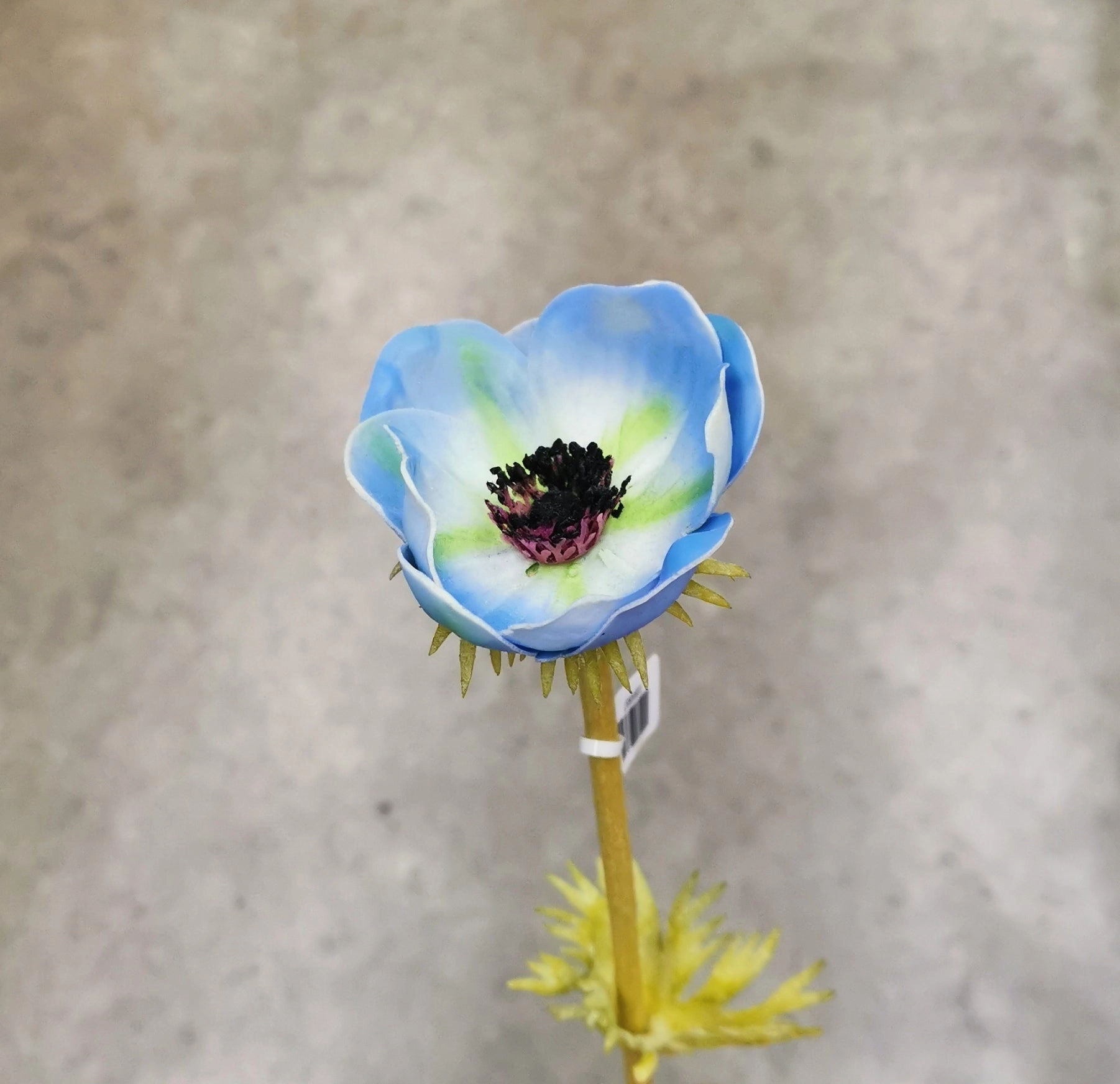 Anemone Artificial Silk Flower Burgundy ANEMONE0004