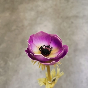 Anemone Artificial Silk Flower Purple ANEMONE0003,dried artificial flower