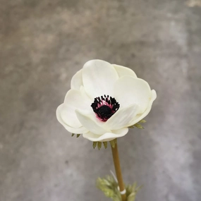 Anemone Artificial Silk Flower White ANEMONE0005,dried artificial flower