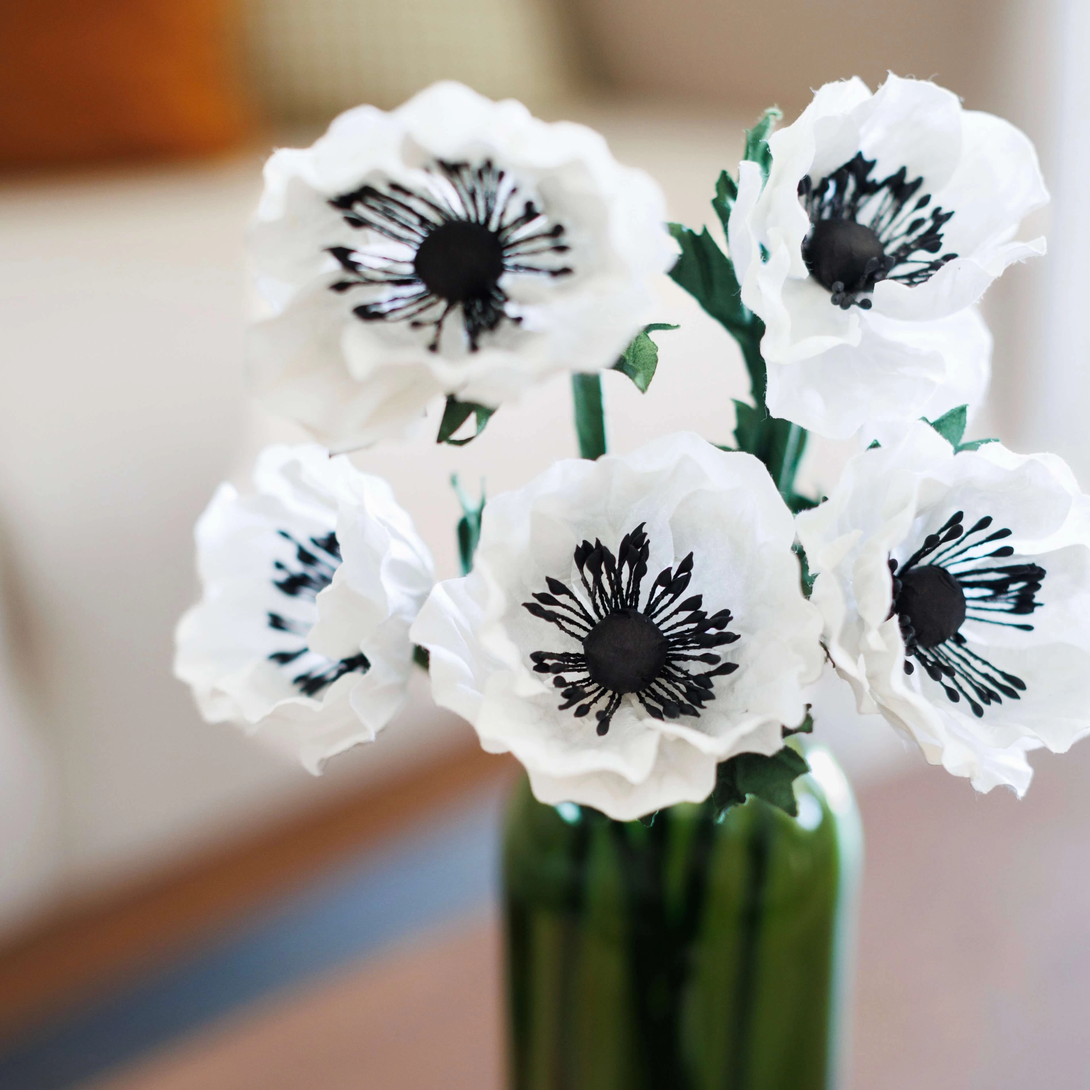 Anmone en papier blanc