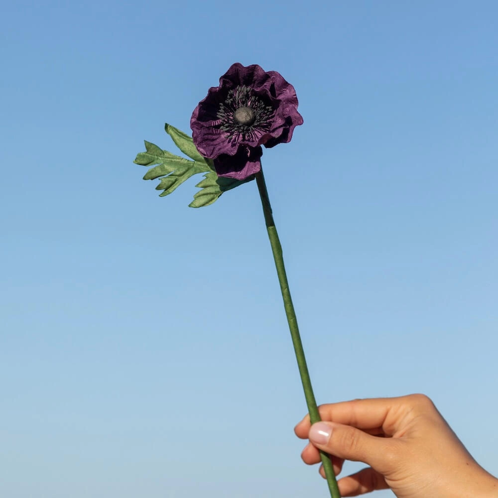 Anmone en papier violet