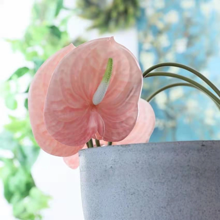 Anthuriums Artificial Silk Flowers Stem ANTHURIUM001-003