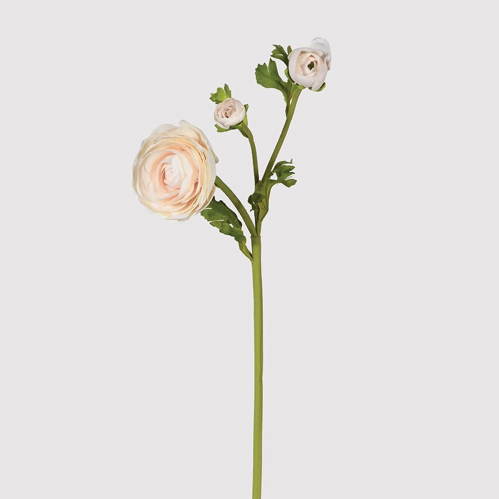 Apricot Blush Real Feel Ranunculus with Leaves 56cm