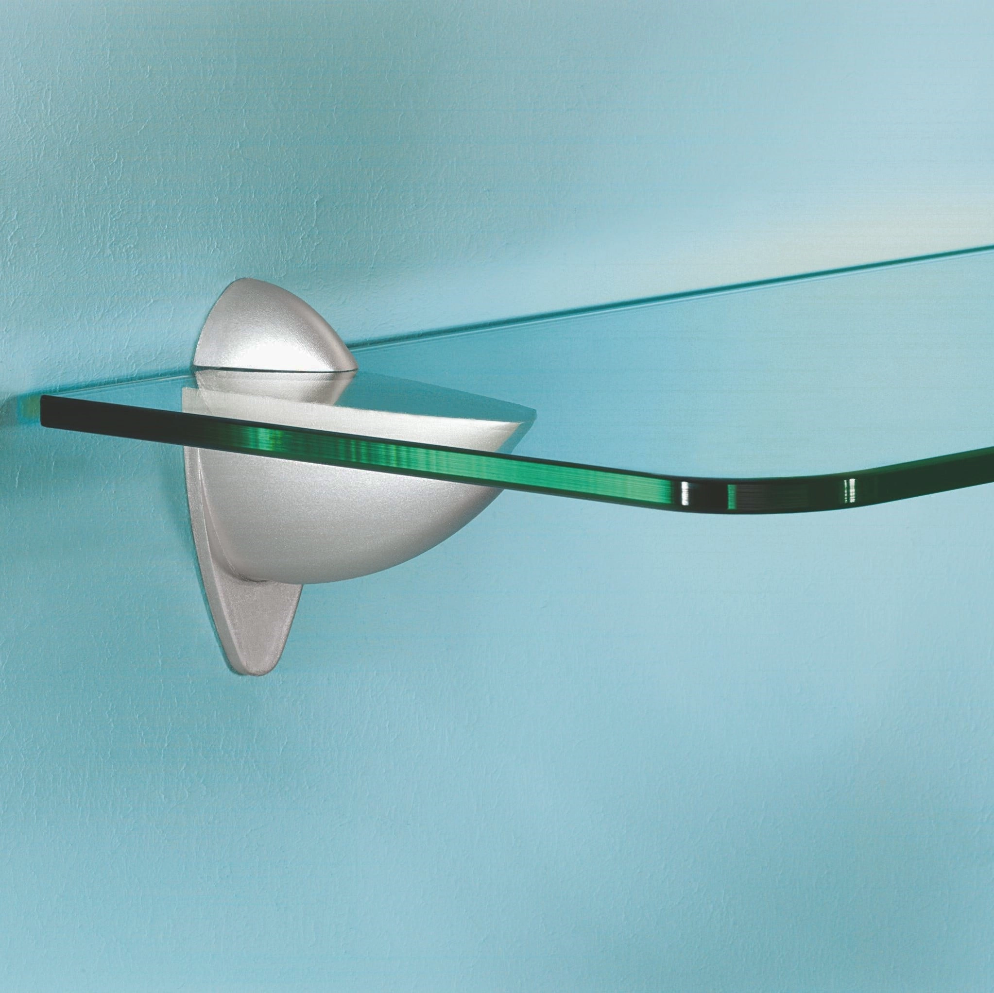 ARA shelf clip