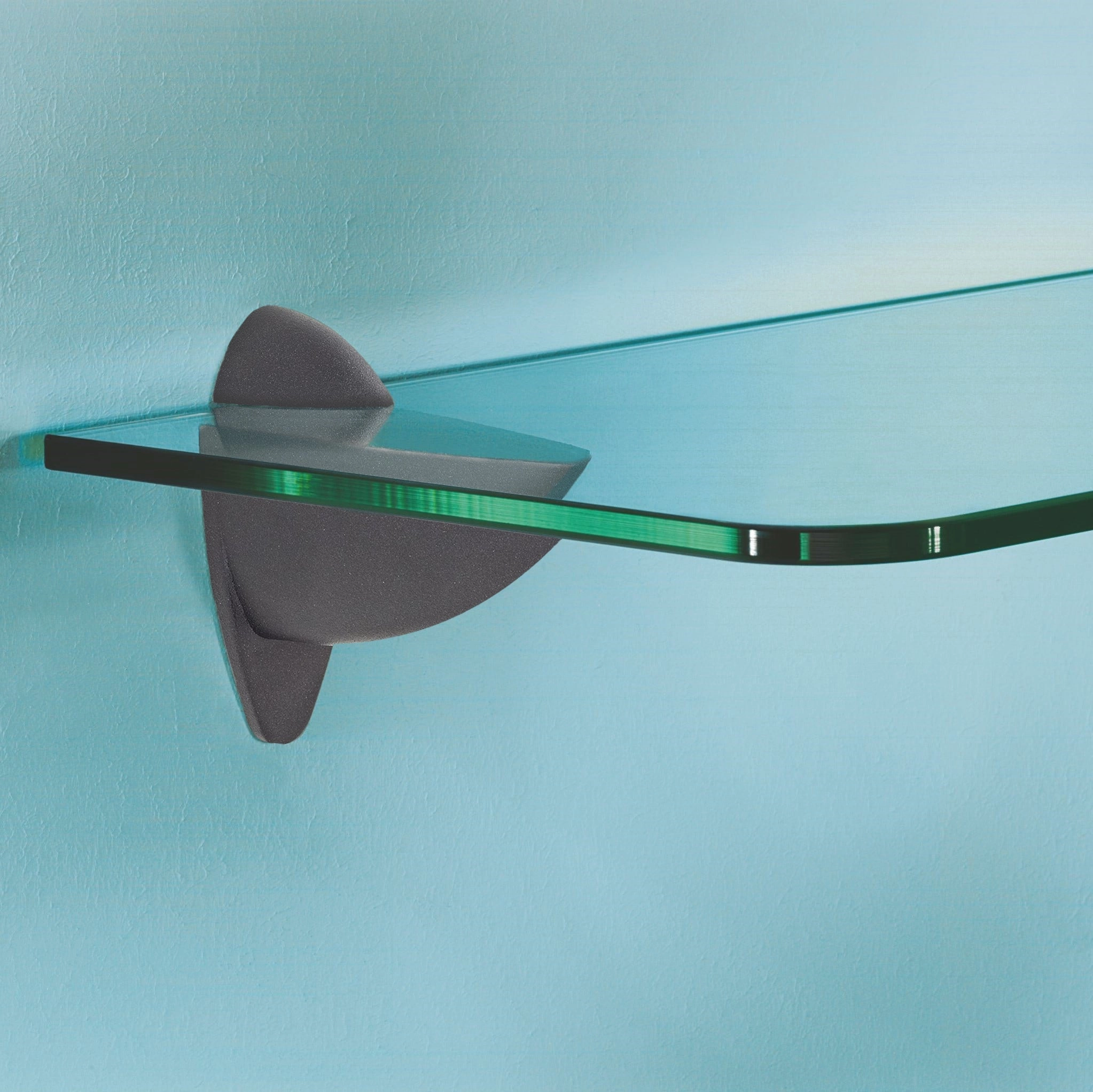 ARA shelf clip