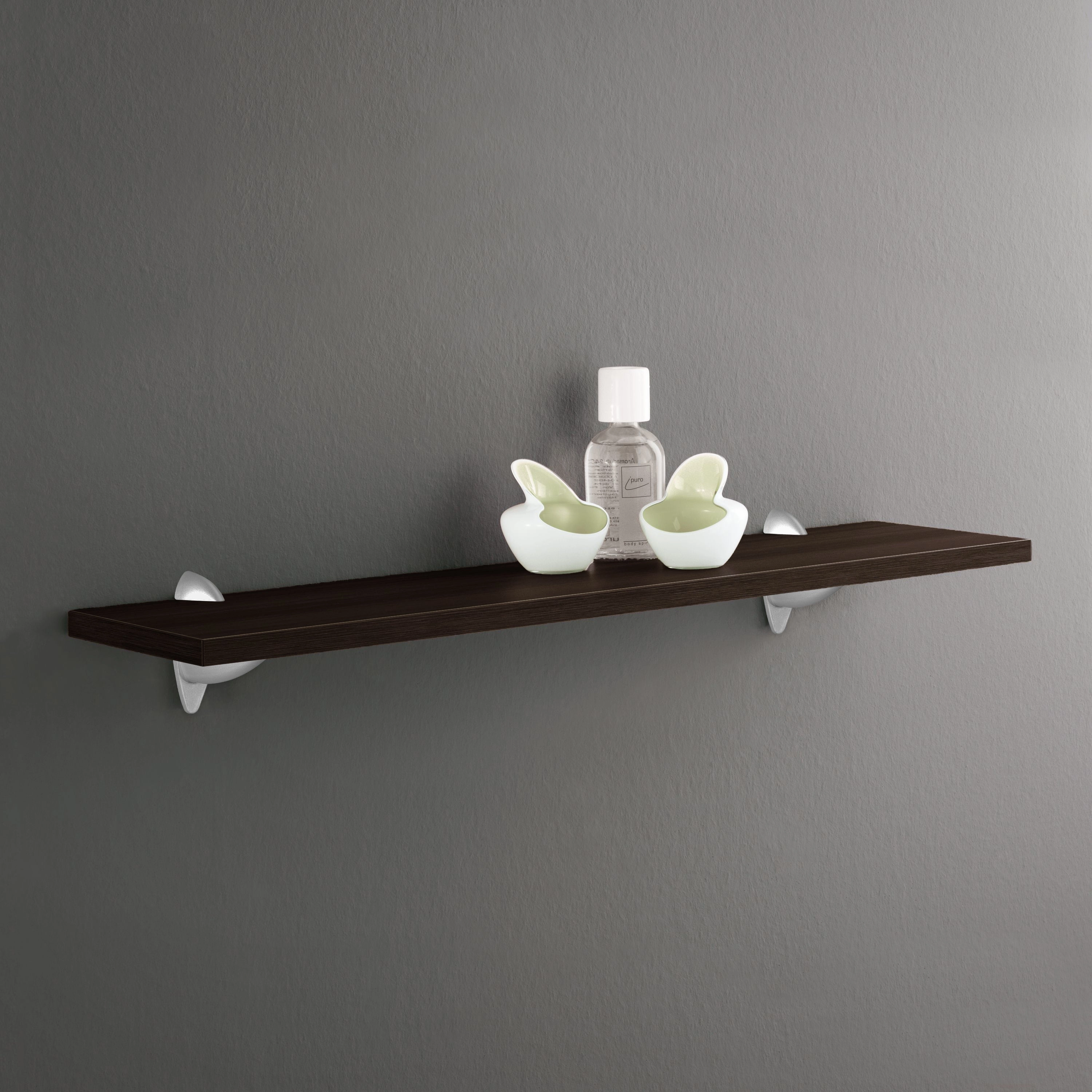 ARA shelf clip