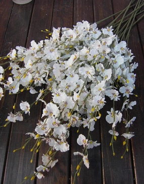 Artificial Flower white Oncidium Dancing Lady orchid silk flower (ONC1) artificial flower bouquet  