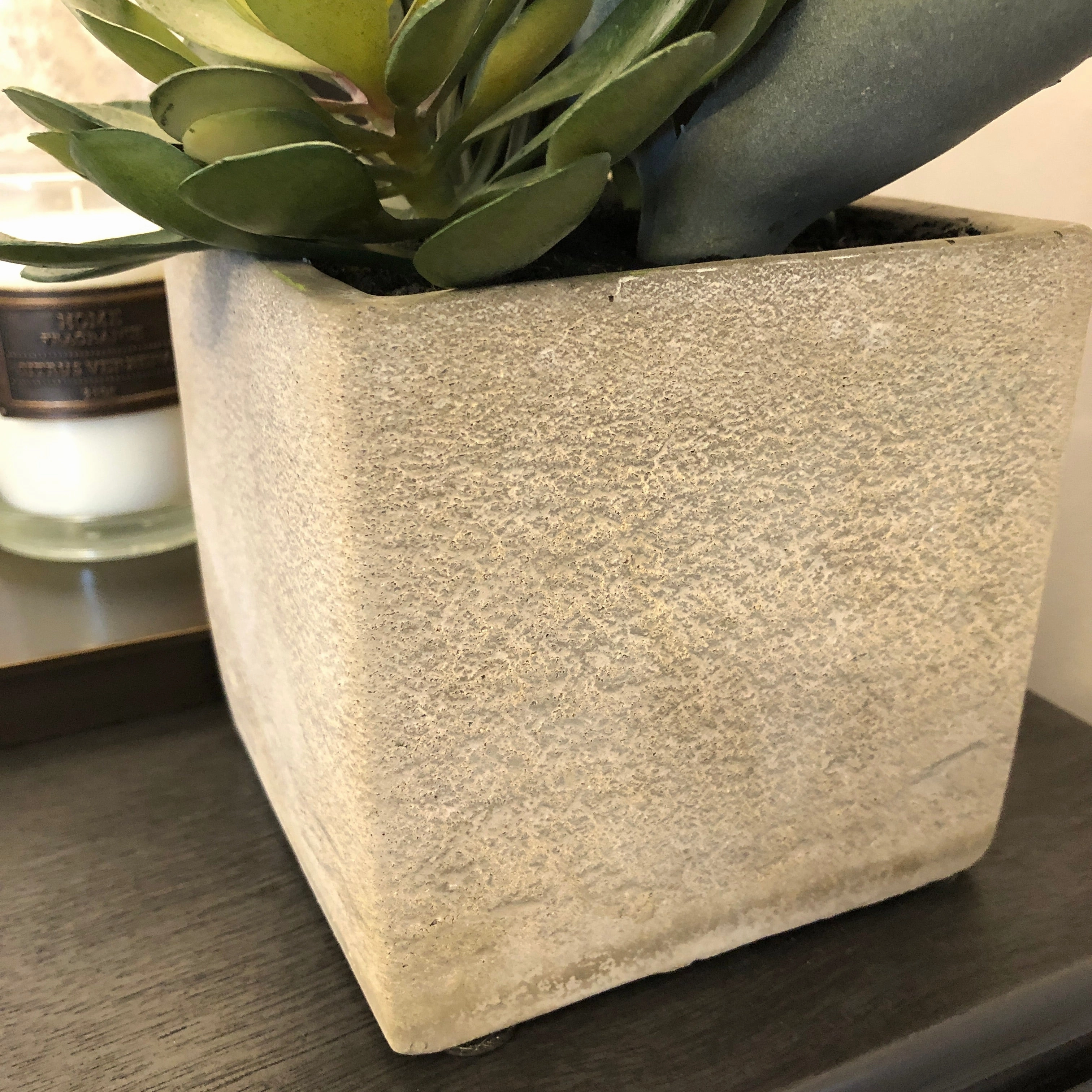 Assorted Cactus in Grey Pot 34cm