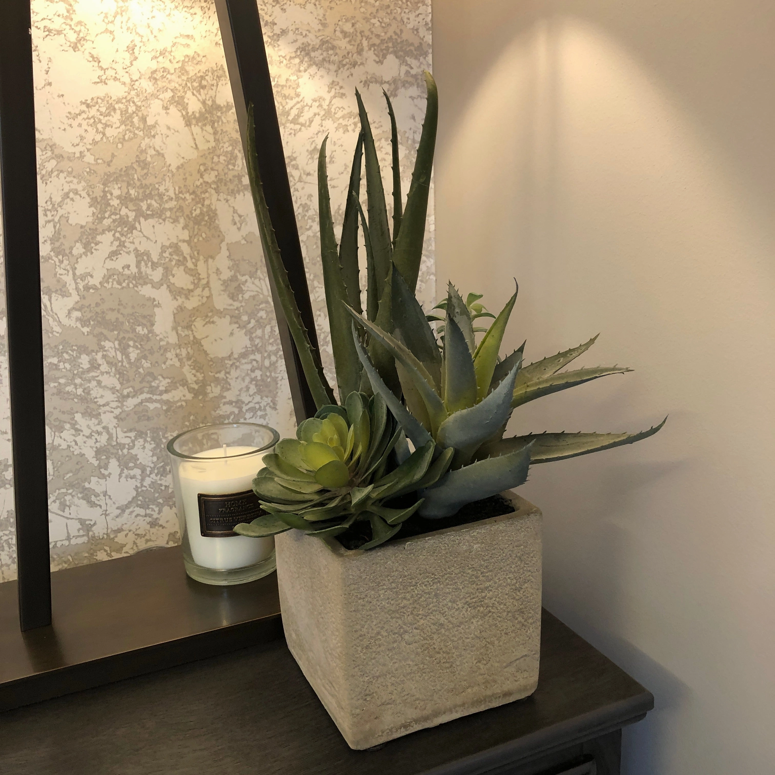 Assorted Cactus in Grey Pot 34cm