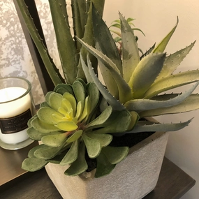 Assorted Cactus in Grey Pot 34cm,dried artificial flower