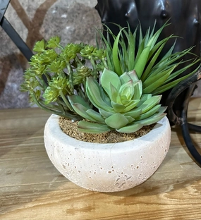Assorted Green Succulents Arrangement in Grey Cement Bowl 15cm,dried artificial flower