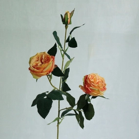Austin Rose 3 Heads Artificial Flower Orange Stem AUSTINROSE054,dried artificial flower