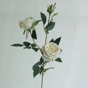 Austin Rose 3 Heads Artificial Flower Stem 7 Color Selections,dried artificial flower
