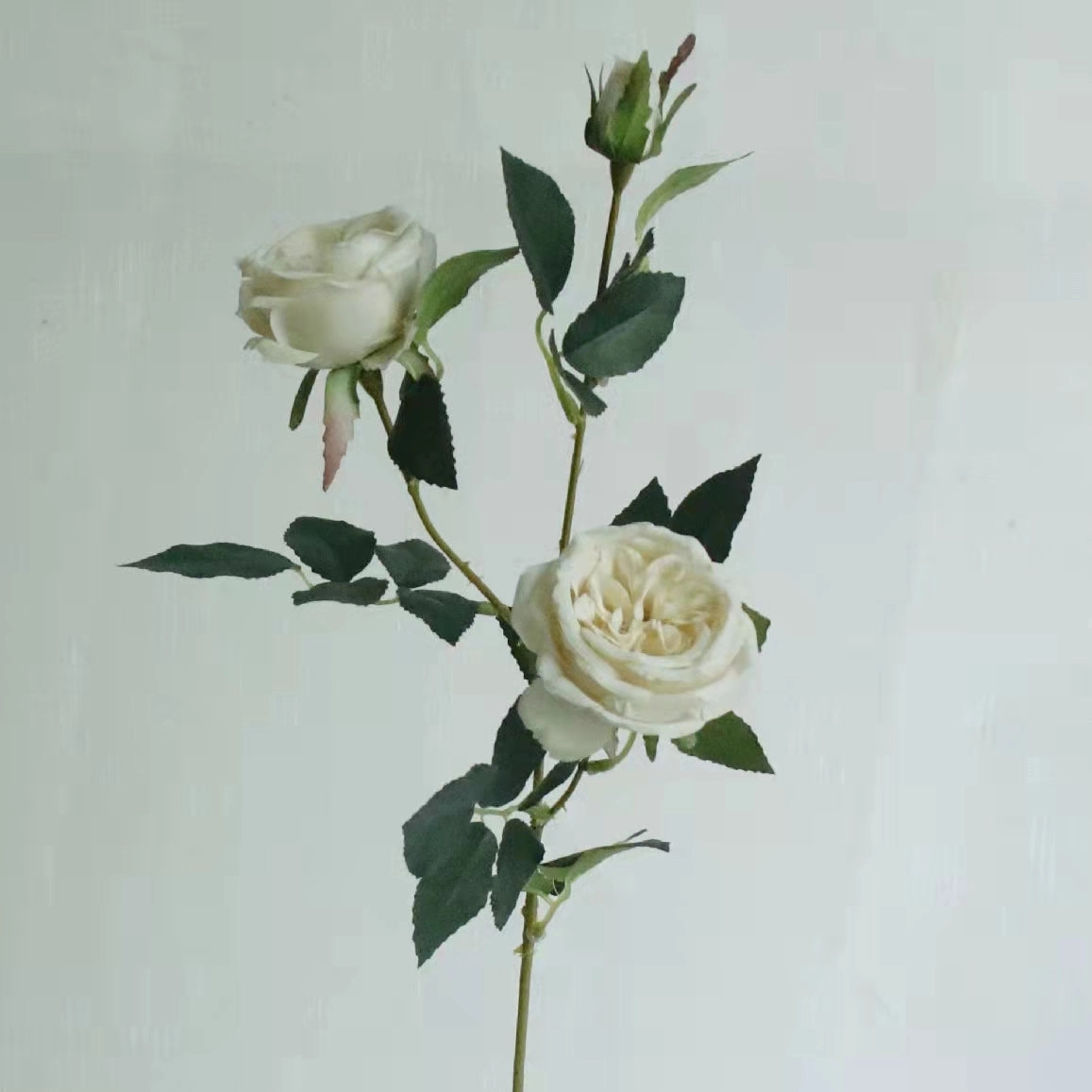 Austin Rose 3 Heads Artificial Flower Stem 7 Color Selections,dried artificial flower