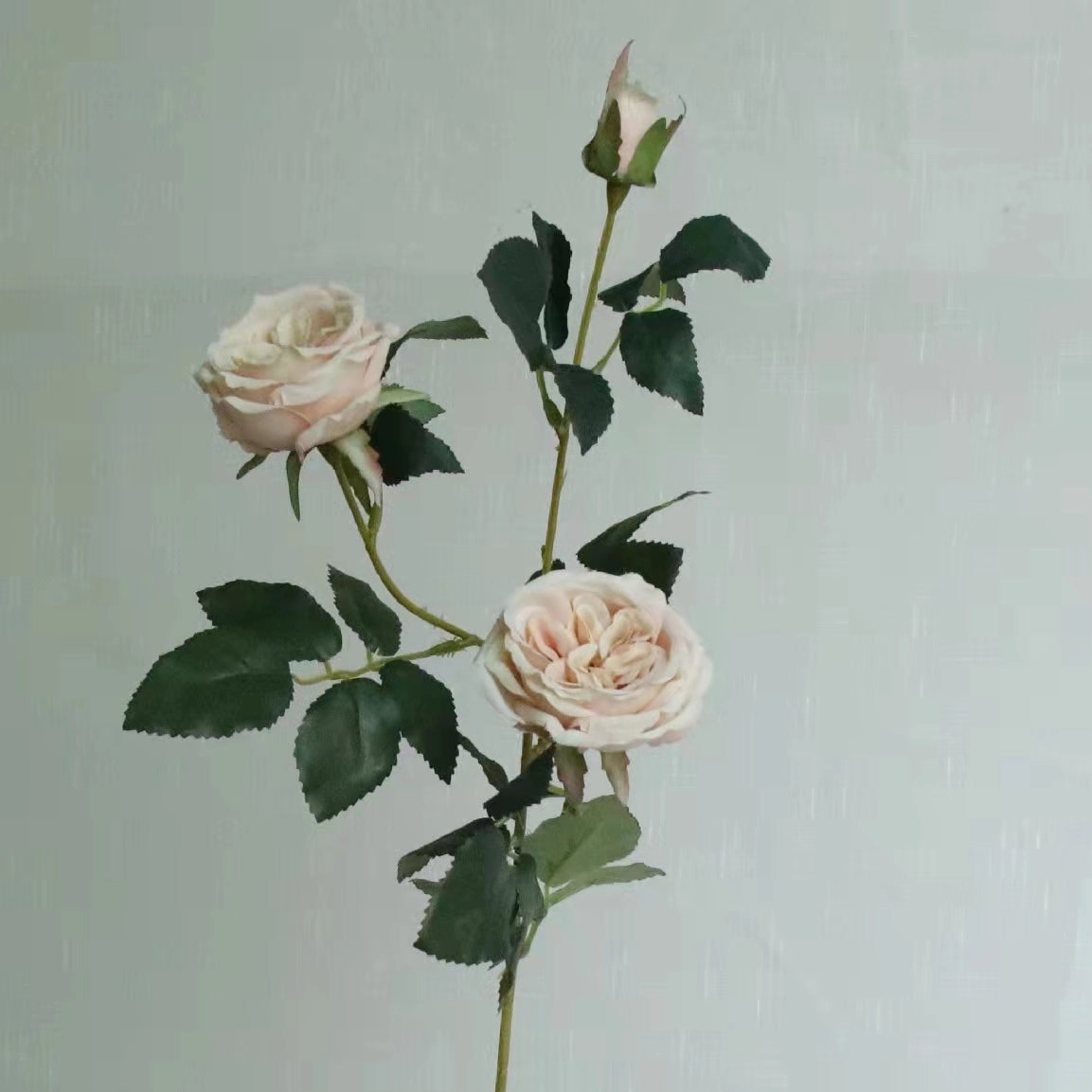 Austin Rose 3 Heads Artificial Flower Stem 7 Color Selections