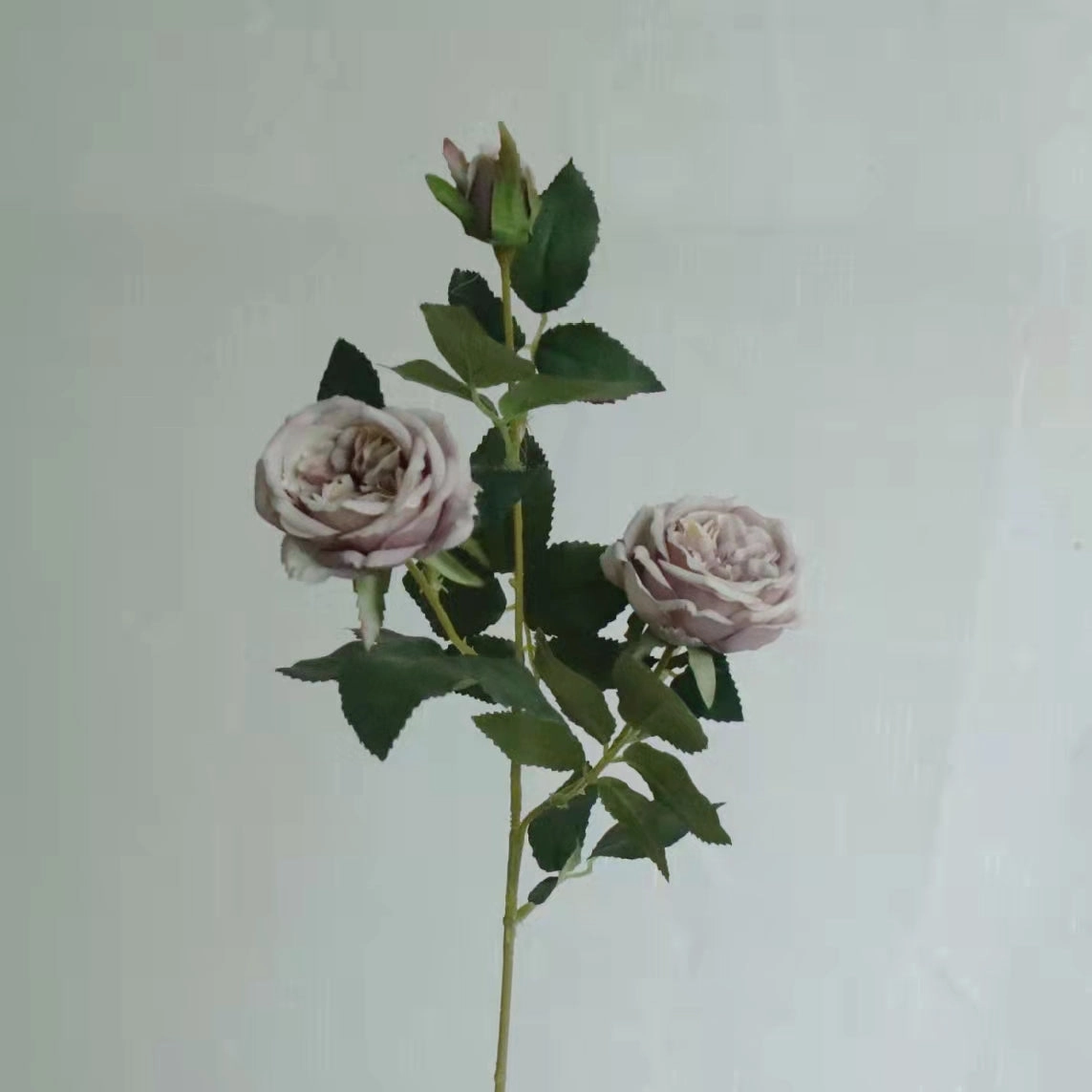Austin Rose 3 Heads Artificial Flower Stem 7 Color Selections