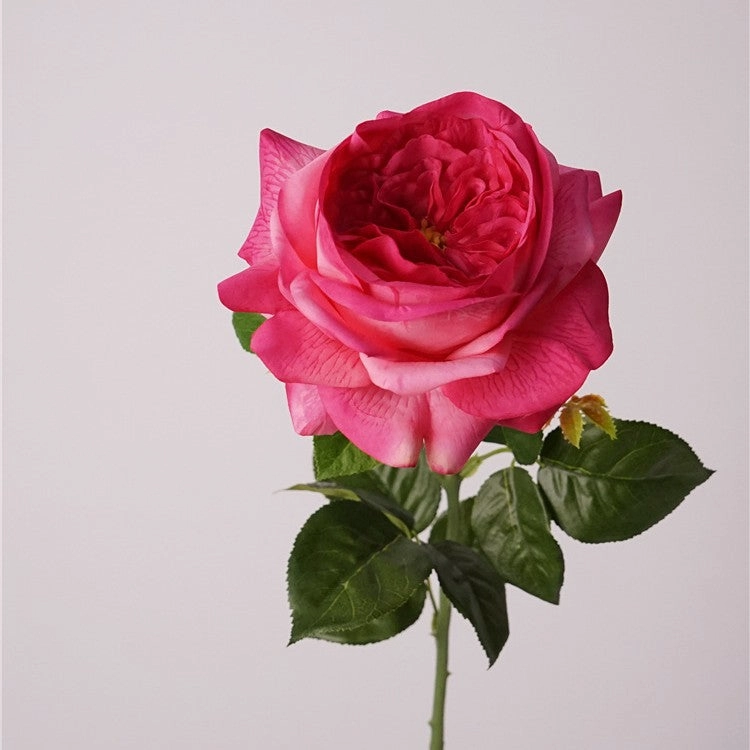 Austin Rose Realtouch Artificial Flowers Hot Pink ROSEAUSTIN0013,dried artificial flower