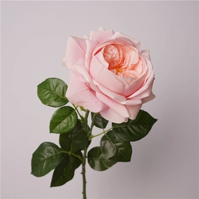 Austin Rose Realtouch Artificial Flowers Light Pink ROSEAUSTIN0012,dried artificial flower
