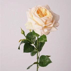 Austin Rose Realtouch Artificial Flowers Peach ROSEAUSTIN0011,dried artificial flower