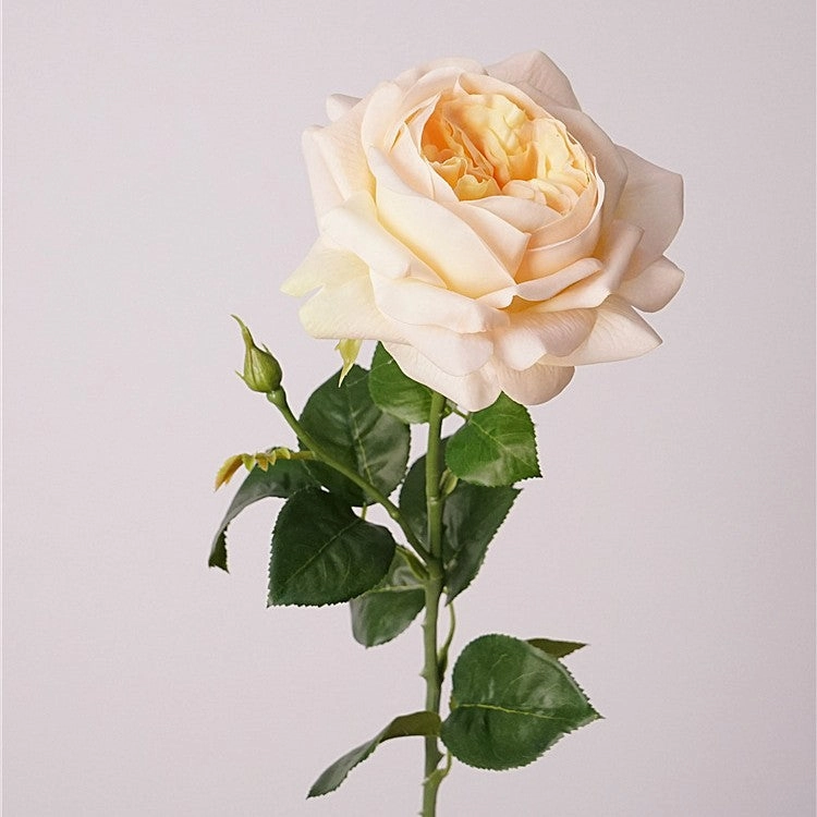 Austin Rose Realtouch Artificial Flowers Peach ROSEAUSTIN0011,dried artificial flower