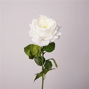 Austin Rose Realtouch Artificial Flowers White ROSEAUSTIN0010,dried artificial flower