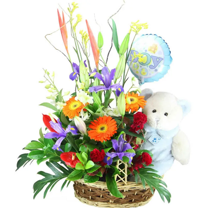 Baby Boy Basket,realistic flower bouquet 