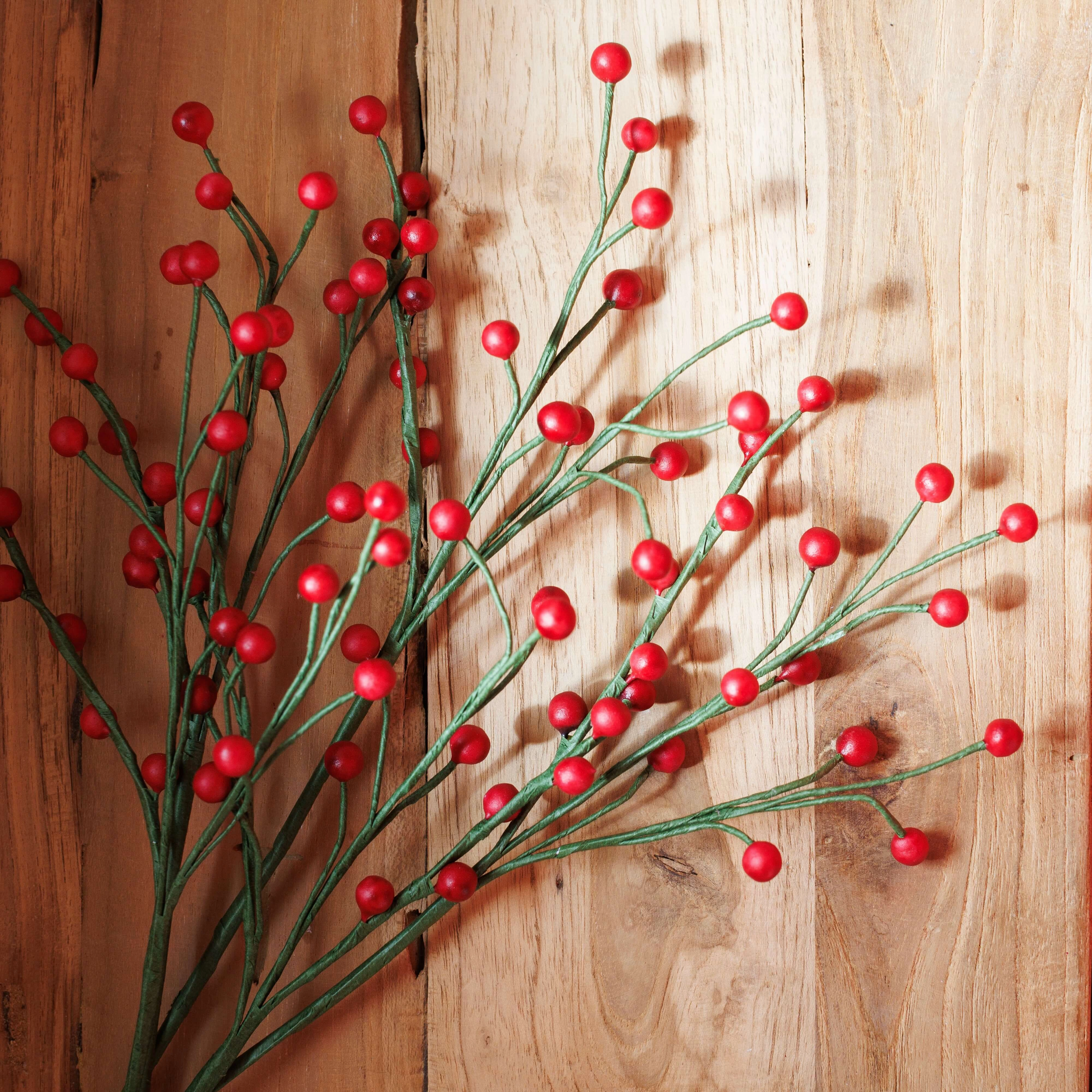 Baies en papier rouge