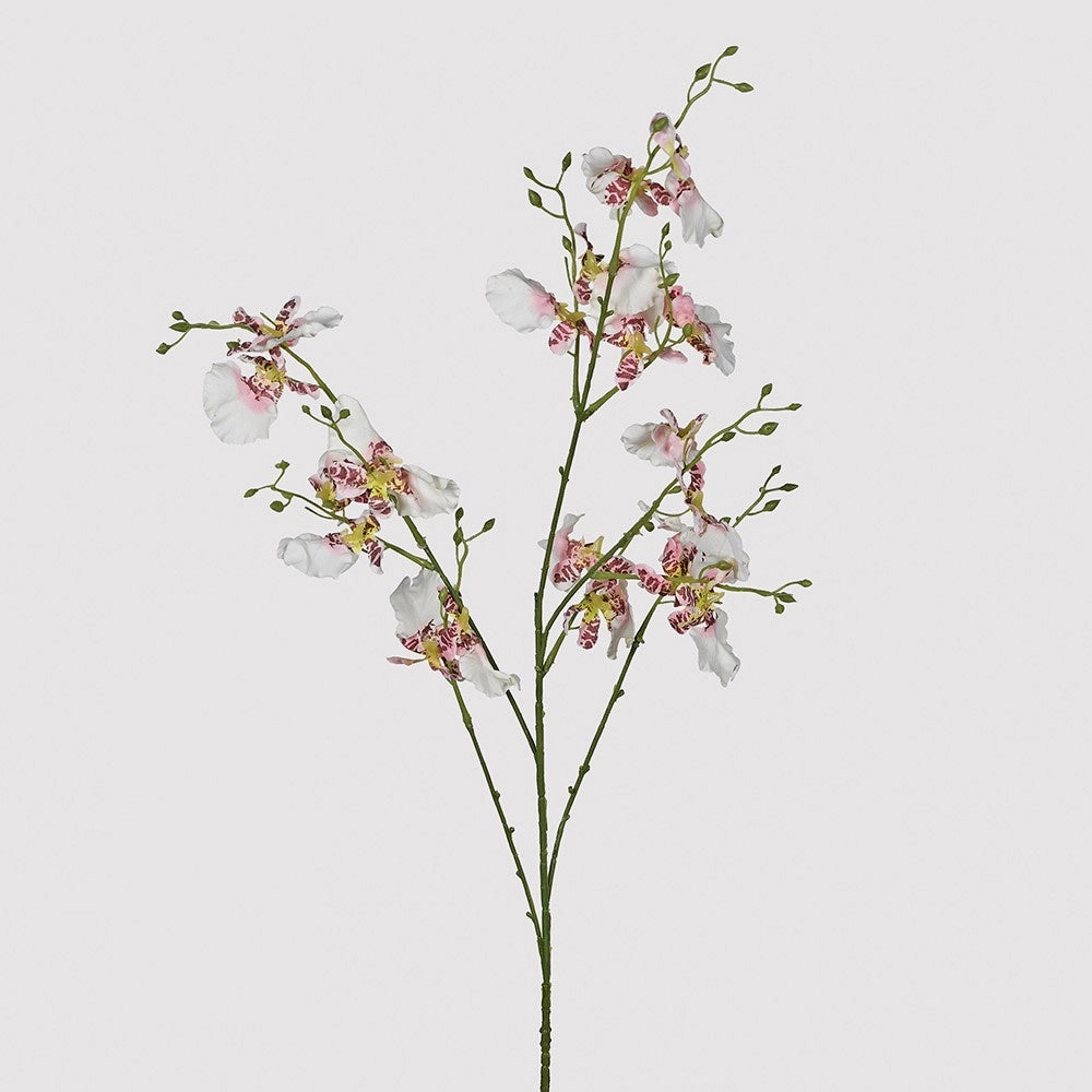 Ballerina Dancing Orchid Stem Spray 90cm