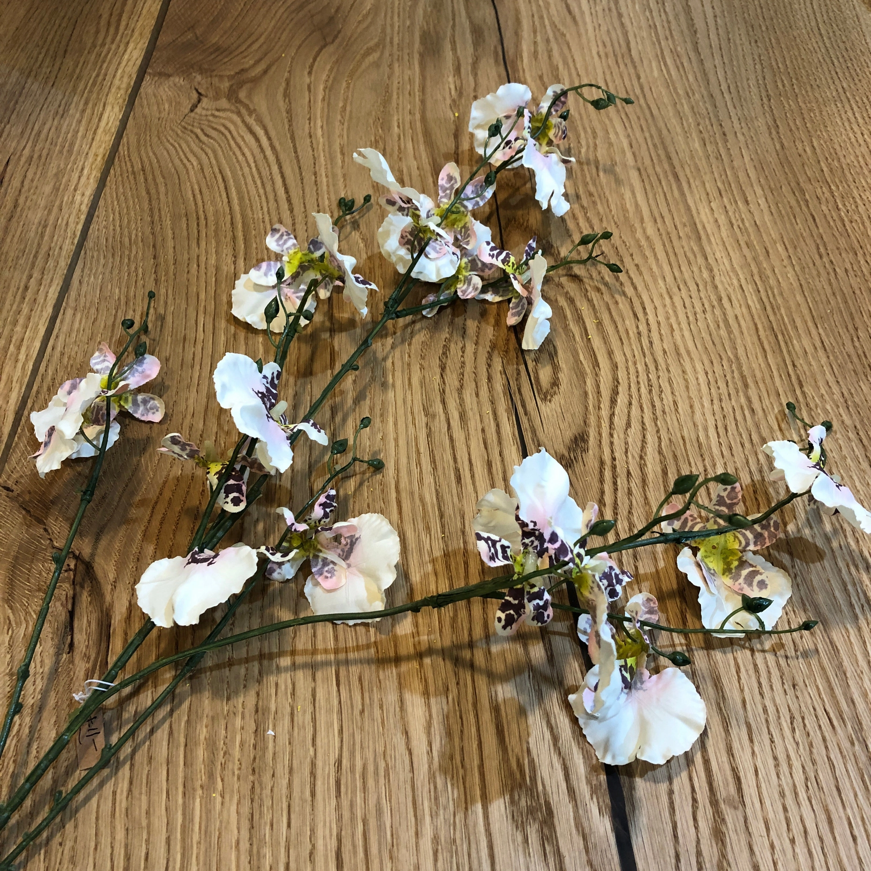Ballerina Dancing Orchid Stem Spray 90cm