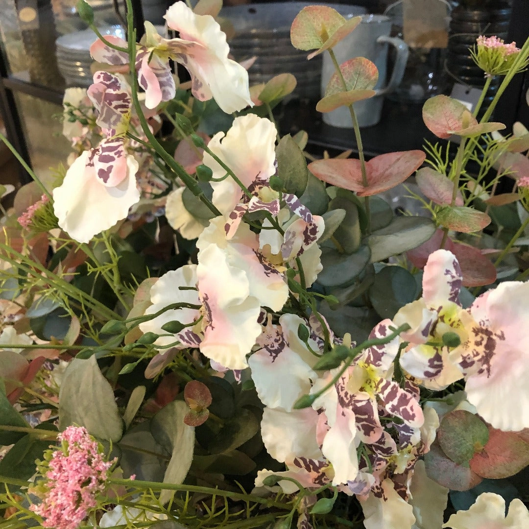 Ballerina Dancing Orchid Stem Spray 90cm
