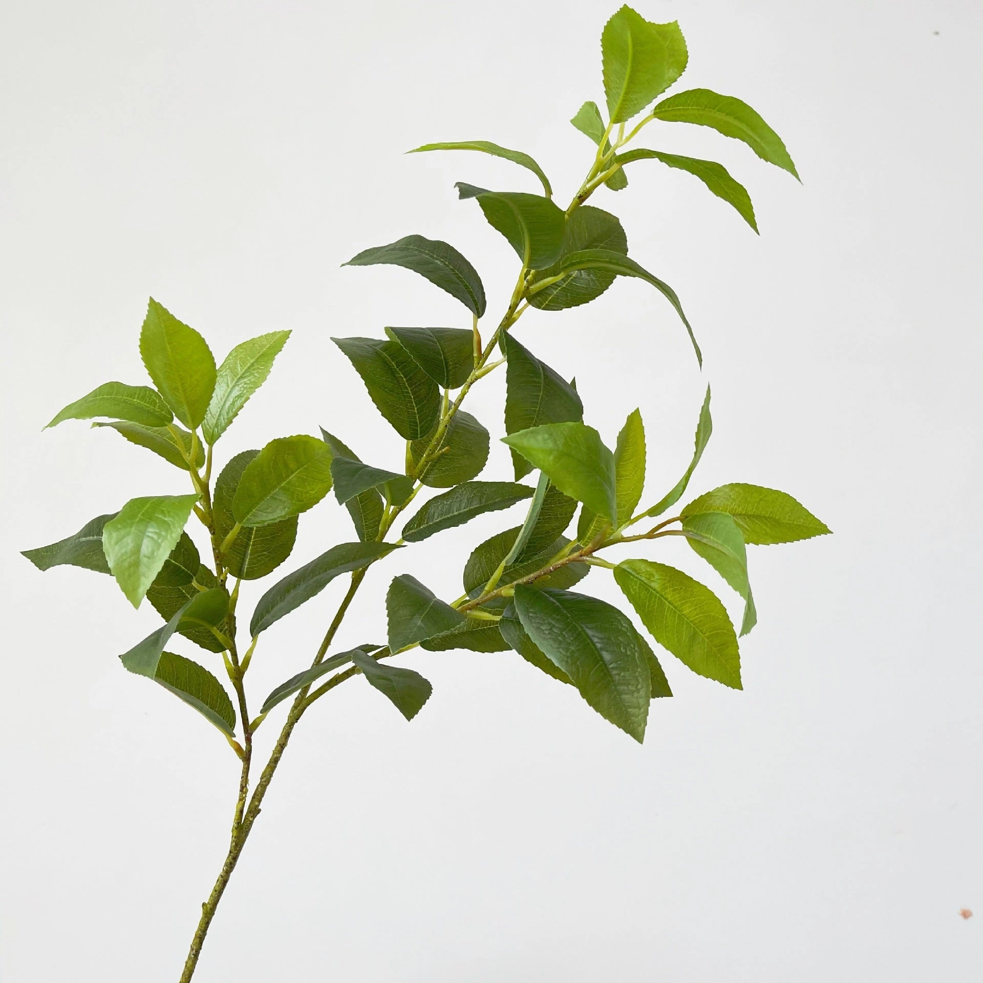Bayleaf 68cm Artificial Greenery Stem BAYLEAF001,dried artificial flower