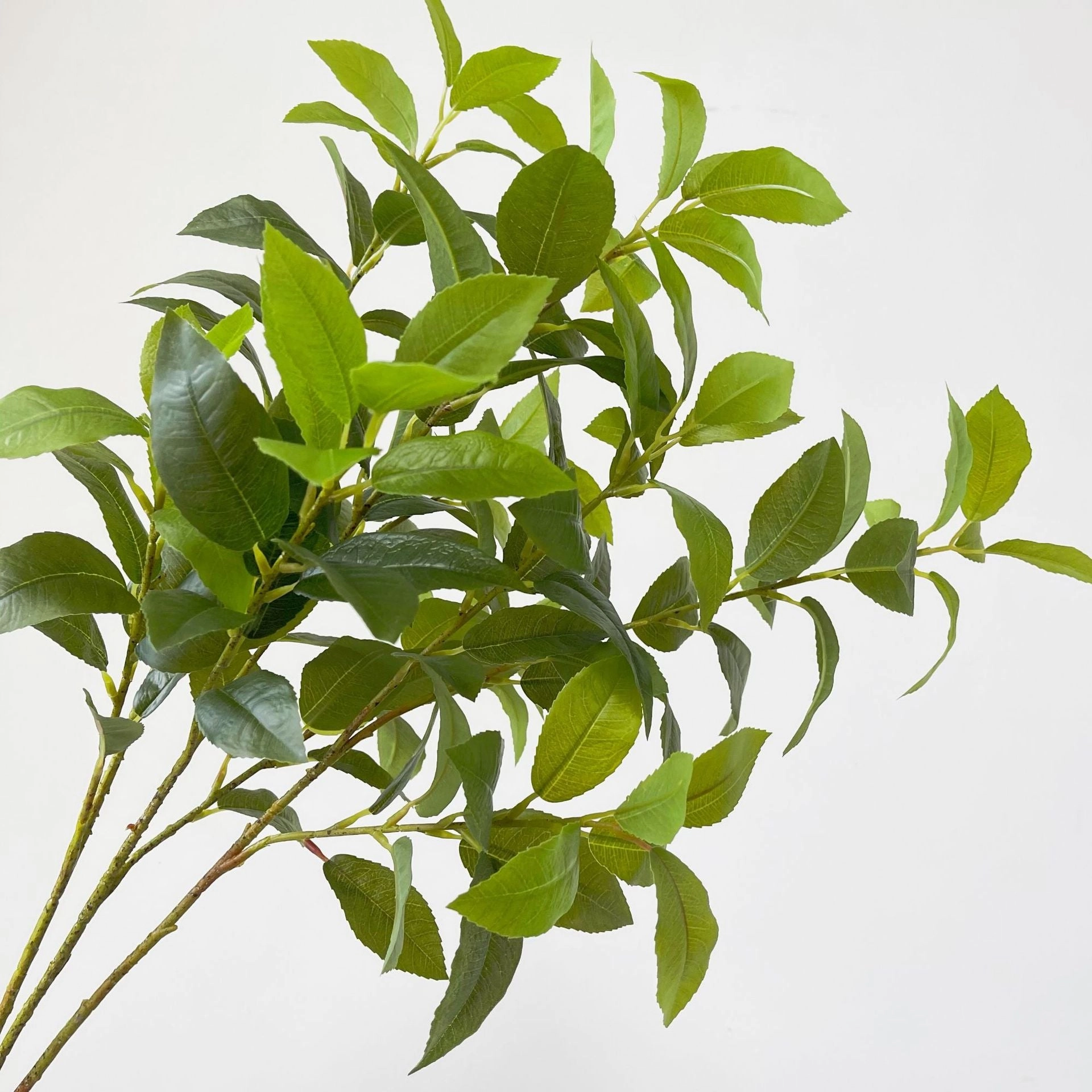 Bayleaf 68cm Artificial Greenery Stem BAYLEAF001