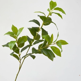 Bayleaf 68cm Artificial Greenery Stem BAYLEAF001,dried artificial flower