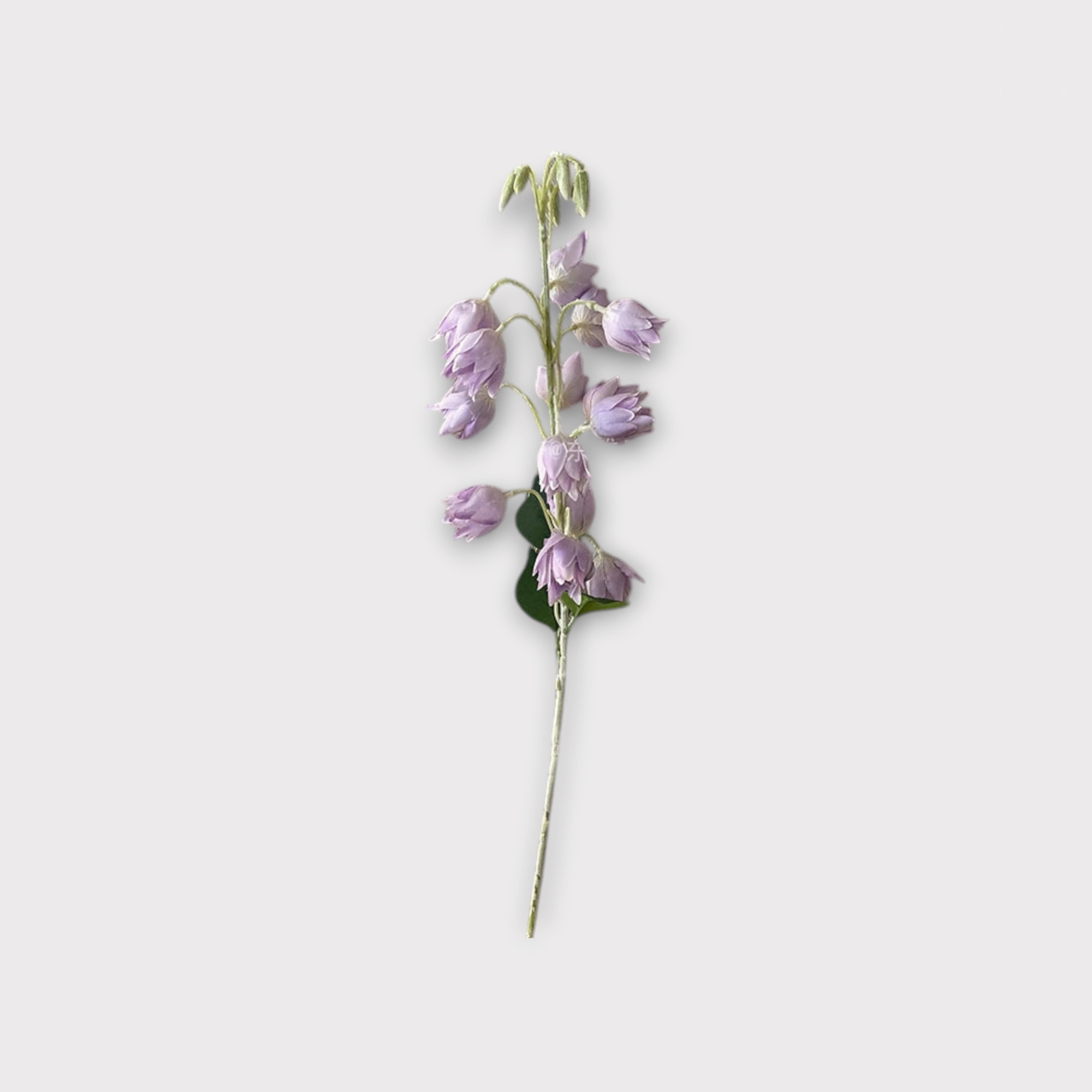 Bell Flower Artificial Silk Flowers Stem BELLFLOWER001-003,dried artificial flower