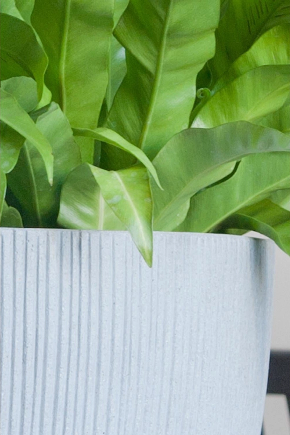 Ben Pot Vertical Ridged Light Grey Large