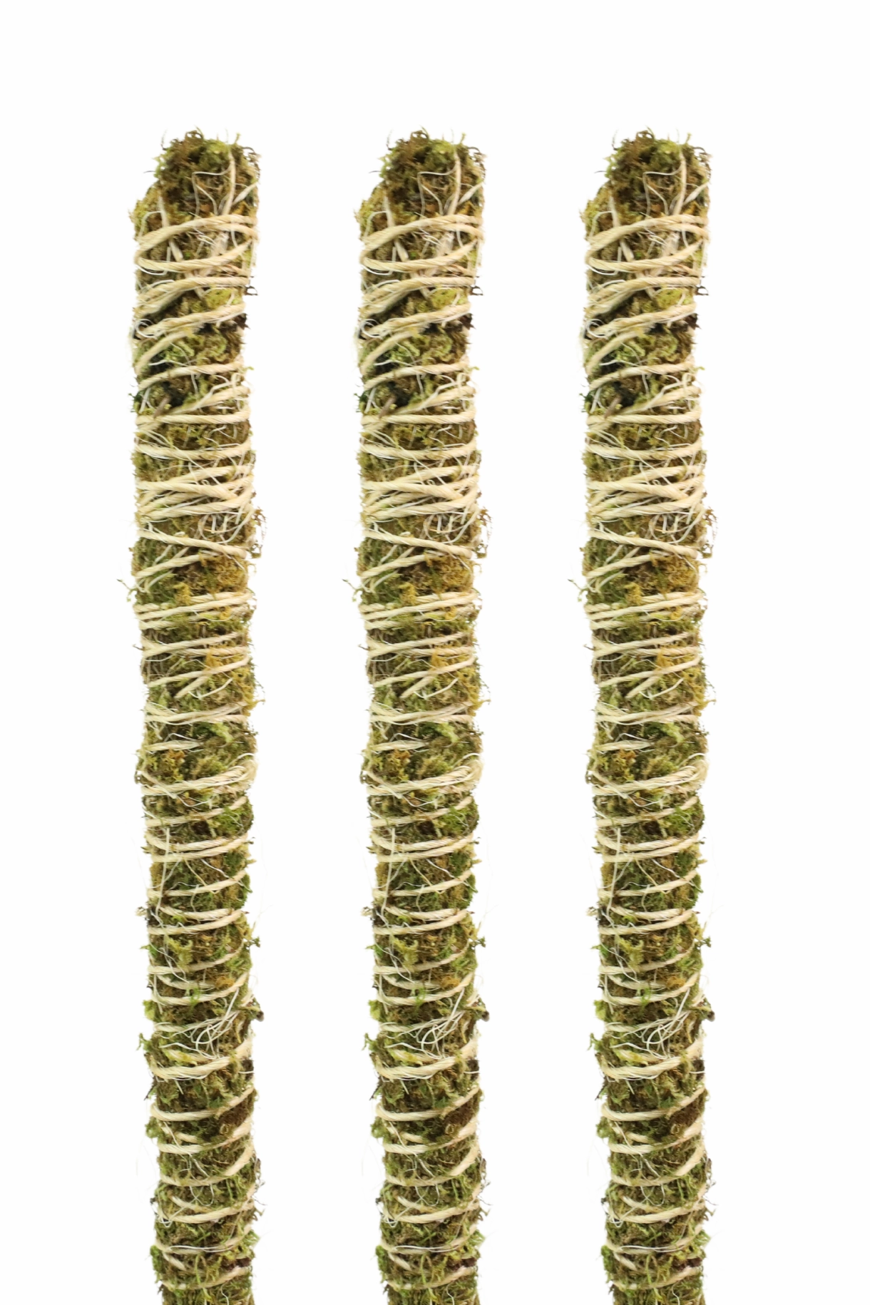 Bendable Moss Pole 3 pack 42"