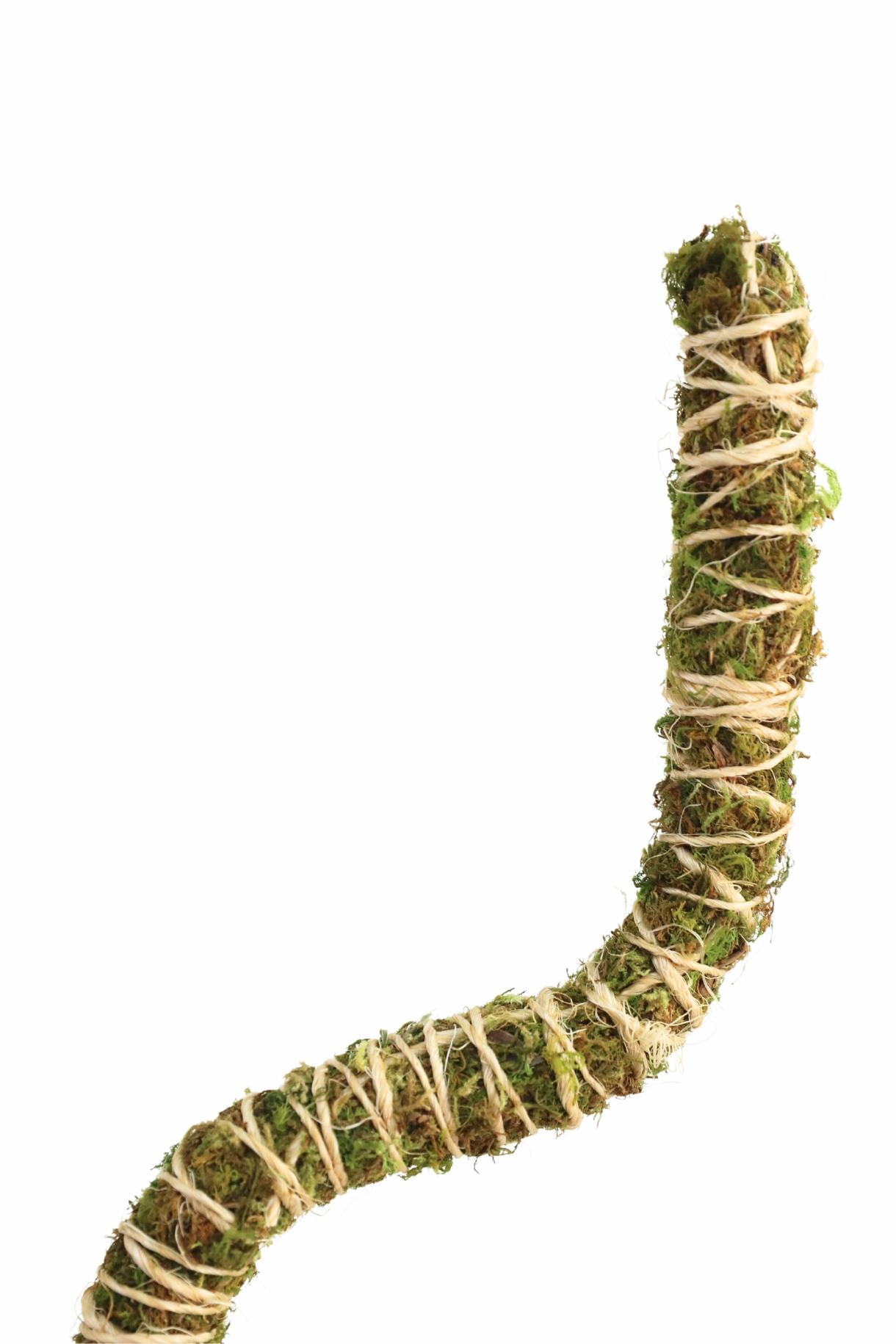 Bendable Moss Pole 3 pack 42"