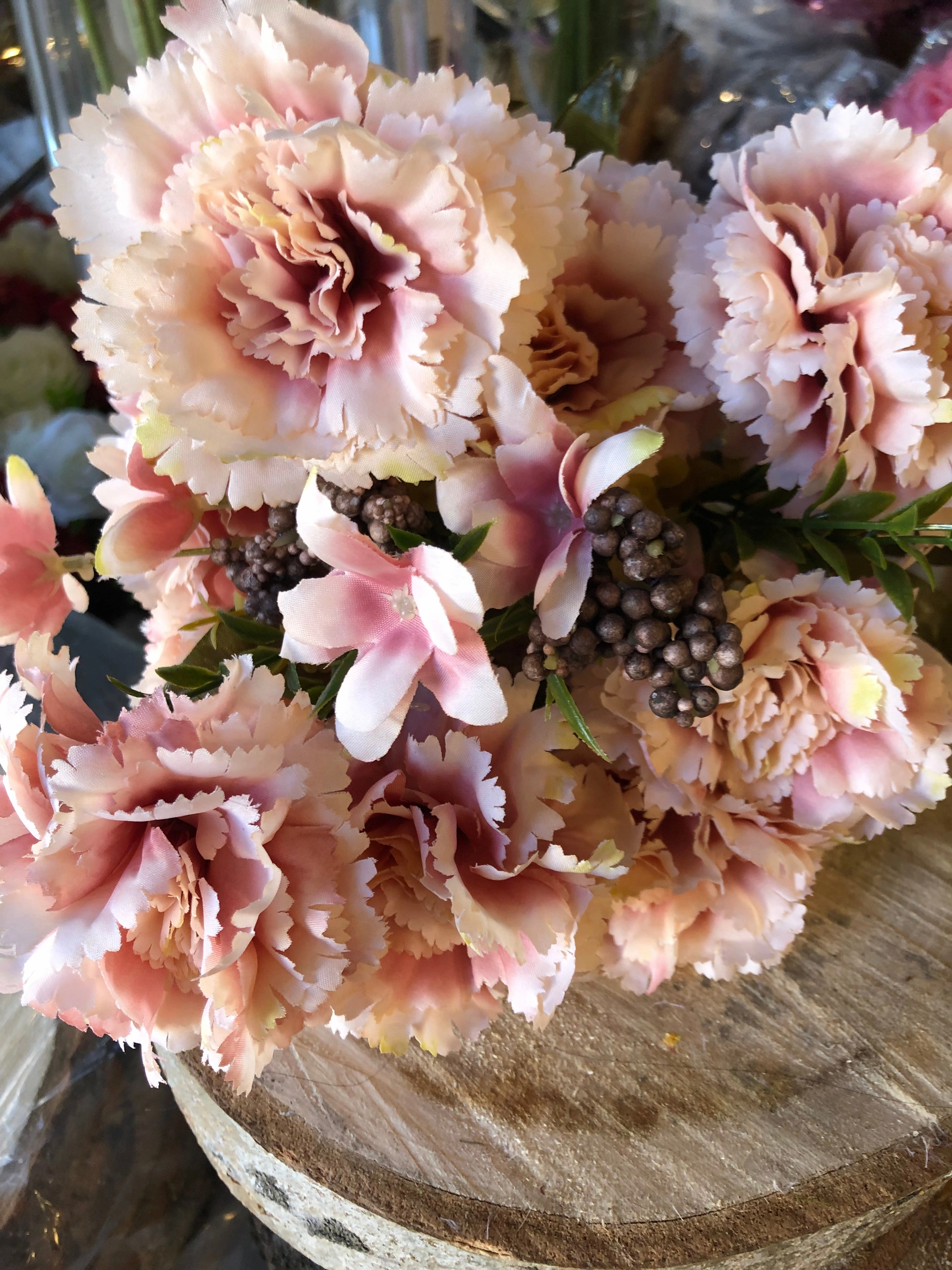 Big stem Carnation Mixed champagne blush