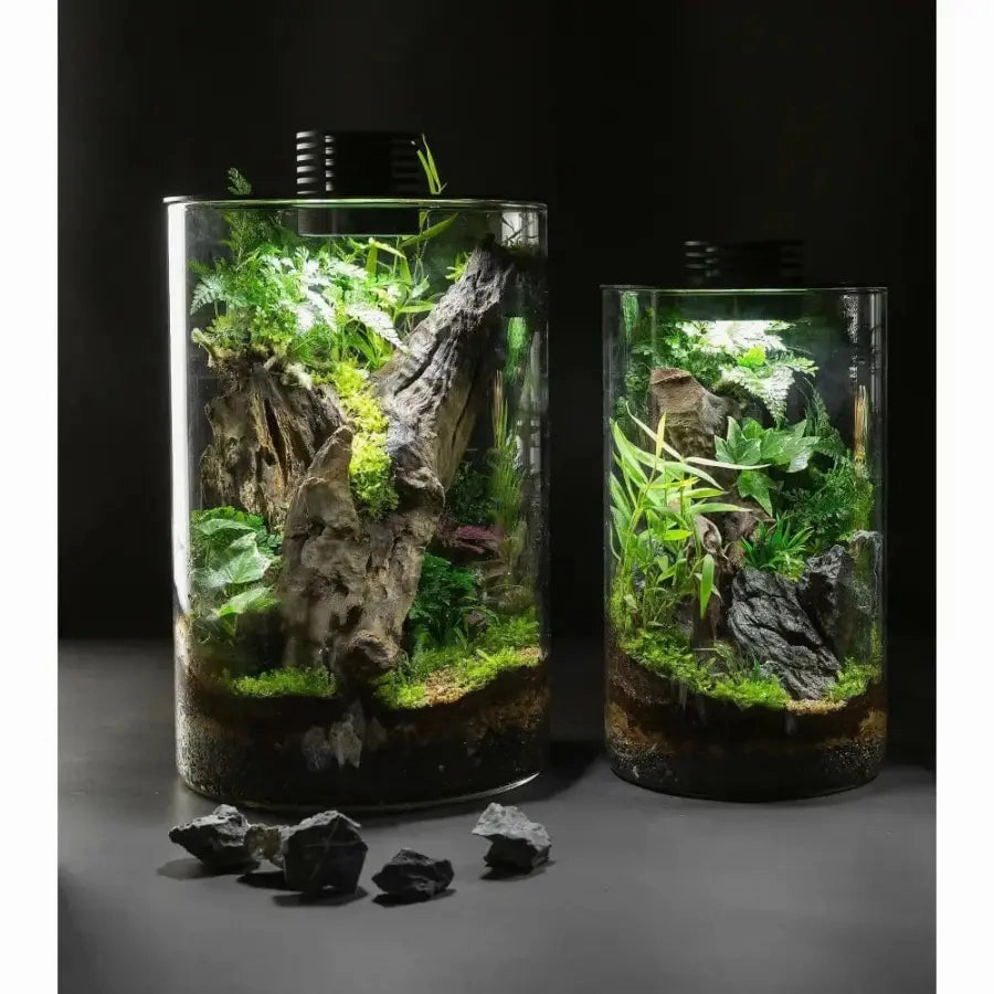 Bioscape 150 cylinder Nano Moss Terrarium (4.1 litre) with Grow Light